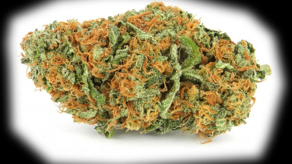 Brutto scherzo, torta alla marijuana light, una famiglia finisce in ospedale