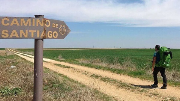 "Buen camino" travolge Google: arriva l'effetto Zalone nelle ricerche on line. Tutto quello che c'è da sapere sul viaggio...