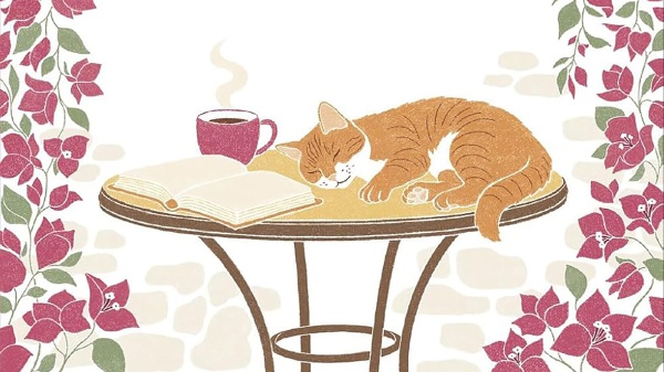 Camminando tra i fiori scalzi, un viaggio introspettivo tra i campi della Provenza: il commento di Nicola Pesce al suo nuovo romanzo