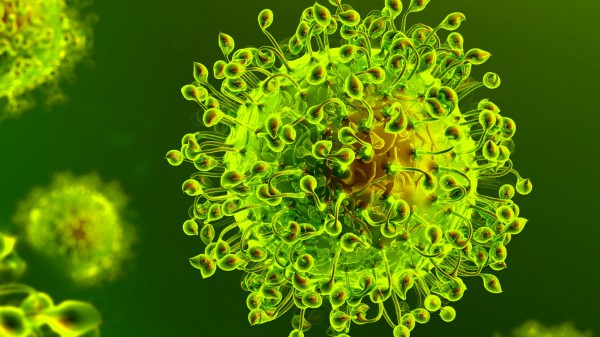 Clamoroso in India, si testa un nuovo vaccino contro il Covid, uno spray nasale