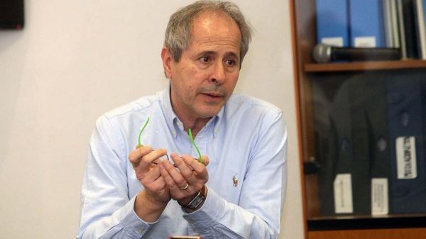 Coronavirus, Crisanti: "Focolai nuovi e più frequenti a ottobre e novembre"