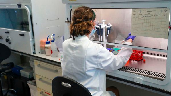 Coronavirus, vaccino Usa, al via la sperimentazione sull'uomo