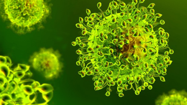 Covid, la maggior parte dei morti registrati oggi non era vaccinata, positiva una neonata a Vicenza