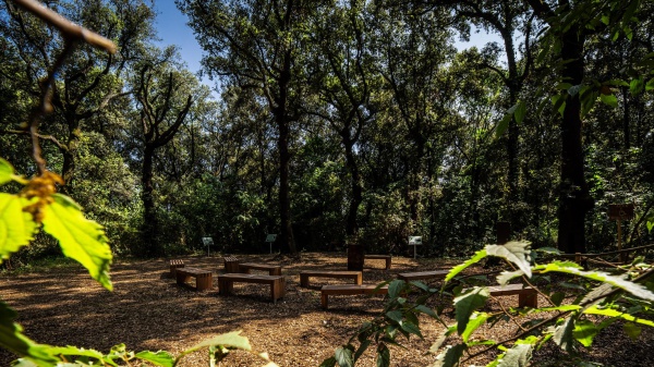 Donna tedesca uccisa in un bosco in Toscana, arrestati il compagno e una amica di lui