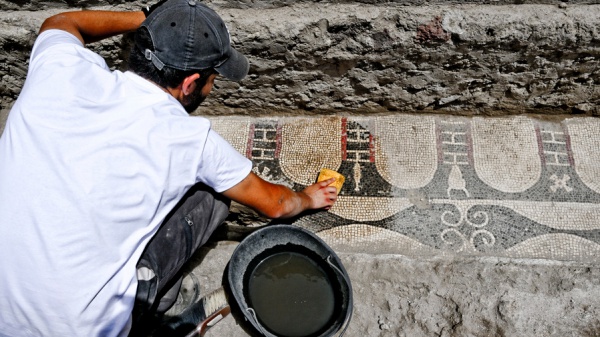 Duemila anni sottoterra: è una tartaruga l’ultima sorpresa di Pompei