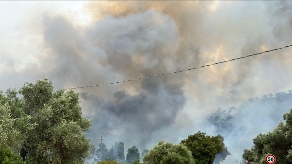 Emergenza incendi in Italia, oltre 56.000 ettari distrutti in sette mesi, cresce la minaccia alle aree protette