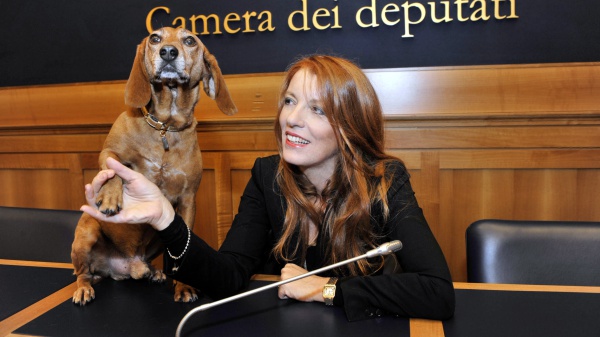 Entra in vigore la “Legge Brambilla”: pene più dure per chi maltratta gli animali