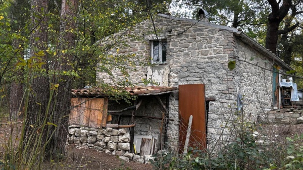 Famiglia nel bosco, il Natale nella casa famiglia. Disposta perizia psichiatrica per i genitori