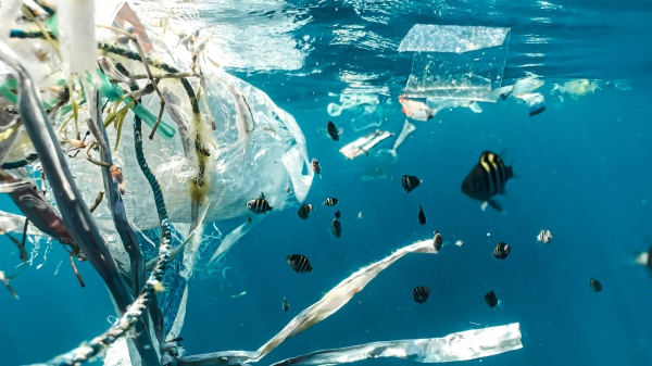 Giornata mondiale dell’ambiente: la plastica arriva nelle arterie