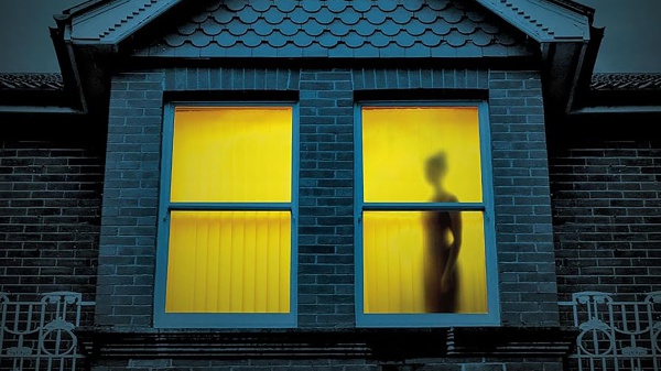 I migliori libri da leggere della settimana, tra “Il dolore dell’oca”, “I segreti di Stephen King”, “La colpevole” e “Slender Man”