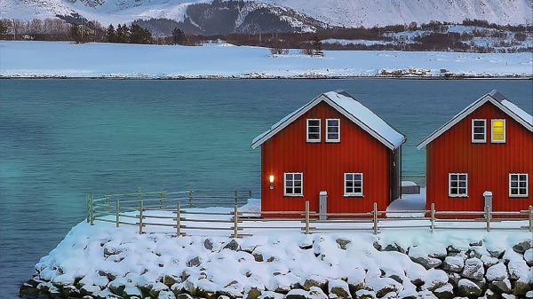 I migliori libri da leggere della settimana, tra “L’isola del passato”, “Il segnale”, “Treno infernale per l’Angelo Rosso” e “Ragazzi che pensano troppo”