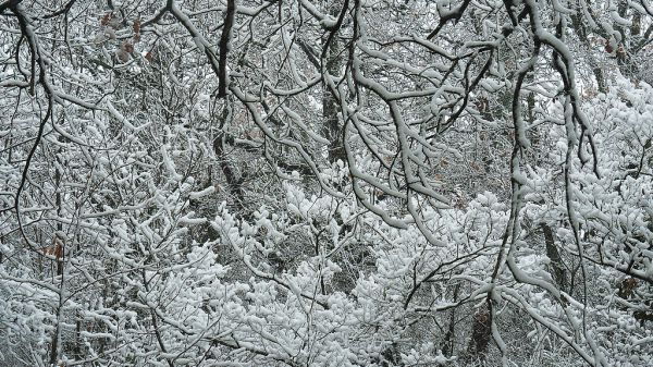 I primi fiocchi di neve sull'Italia