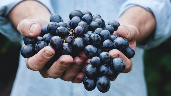 Il Covid-19 colpisce il vino, per la prima volta in trent'anni cala l'export, -4%