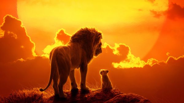 Il Re Leone, in arrivo il sequel del live-action Disney, alla regia Barry Jenkins