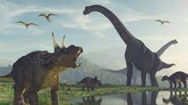 In Cina scoperta una 'pista da ballo per dinosauri', rinvenute tracce di almeno otto specie diverse