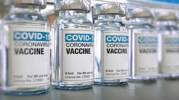 L'Agenzia Europea dei Medicinali aggiorna sulla sicurezza dei vaccini per il Covid, nessun rischio legato all'età