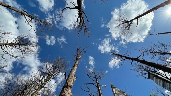 La distruzione della natura, tra le cause principali delle pandemie, ma i leader mondiali fingono di ignorare il problema
