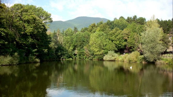 L’Italia è sempre più verde, un rapporto certifica che aumentano le aree forestali gestite in modo sostenibile