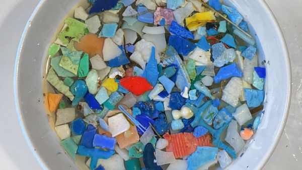Le microplastiche invadono anche il corpo umano