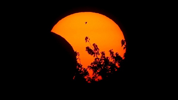 Lo splendente cielo d'ottobre: tra pianeti e costellazioni ben visibili, spazio anche per un'eclissi di Sole