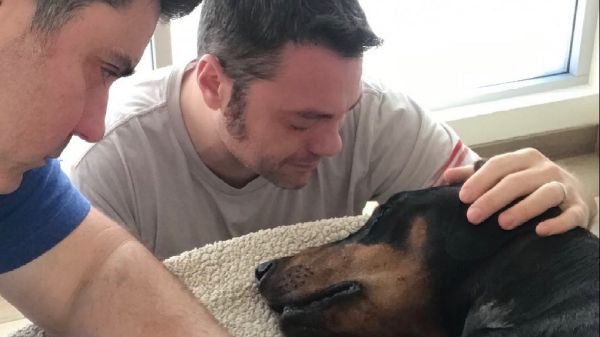 Non ce l'ha fatta Beau, il cane di Tiziano Ferro, l'annuncio sui social