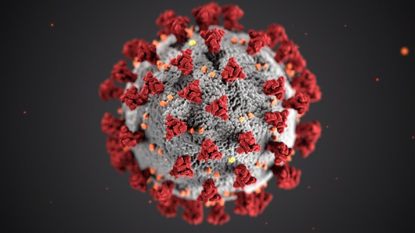 Non solo Coronavirus, quali sono gli altri virus che preoccupano l'Organizzazione Mondiale della Sanità