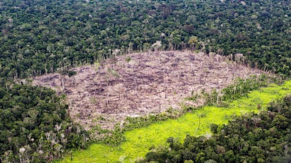 Oggi è la “Giornata delle foreste” le Nazioni Unite lanciano un appello per una gestione sostenibile