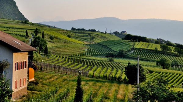 Oggi Primo maggio, molti gli italiani che festeggiano in agriturismo, lo sostiene Coldiretti