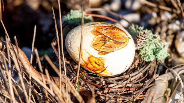 Pasqua nel mondo, per il secondo anno vissuta in lockdown; tra celebrazioni, divieti e permessi