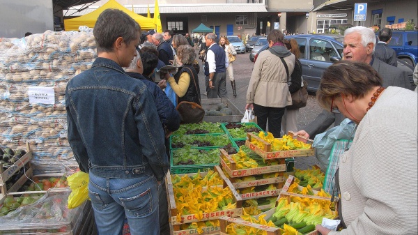 Istat, un italiano su quattro è a rischio povertà. Coldiretti, 2,6 milioni di persone chiedono aiuto per mangiare