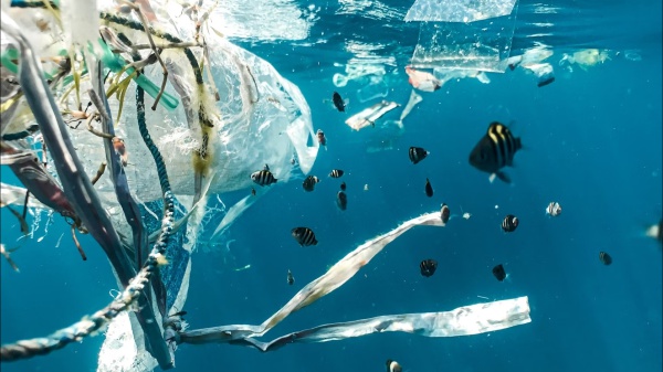 Prima prova del danno delle microplastiche sull'uomo. Secondo uno studio italiano, rischi doppi infarti-ictus