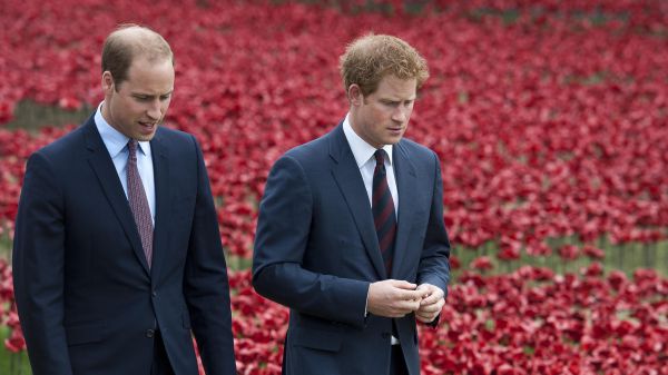 Principe William, io e mio fratello Harry ora siamo entità separate