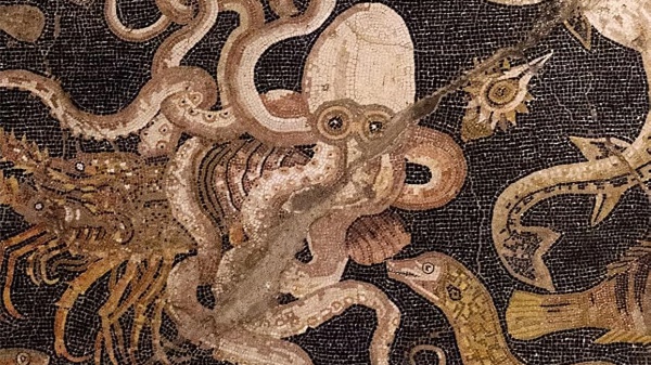 Quando gli dei lasciarono il mondo, cosa accadde a Pompei l’estate prima dell’eruzione: Gabriel Zuchtriegel ci racconta il suo nuovo libro