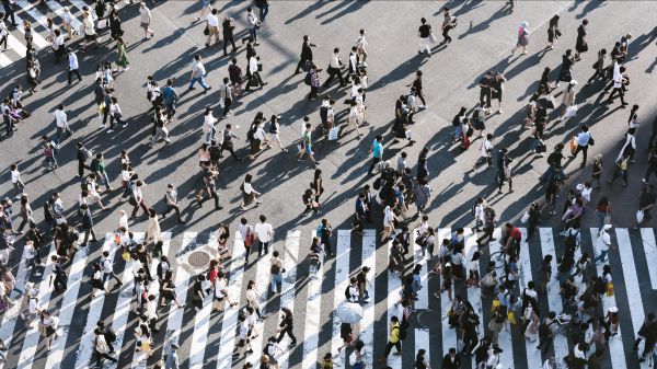 Risolleviamo l'Italia, la buona politica come punto di partenza per la rinascita del Paese