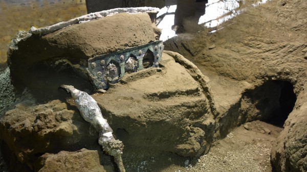 Scavi di Pompei, nuova scoperta, un grande carro cerimoniale; è miracolosamente scampato ai tombaroli
