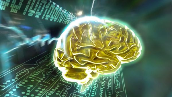 Scienza cerca segreti della coscienza, progetto da 20 milioni