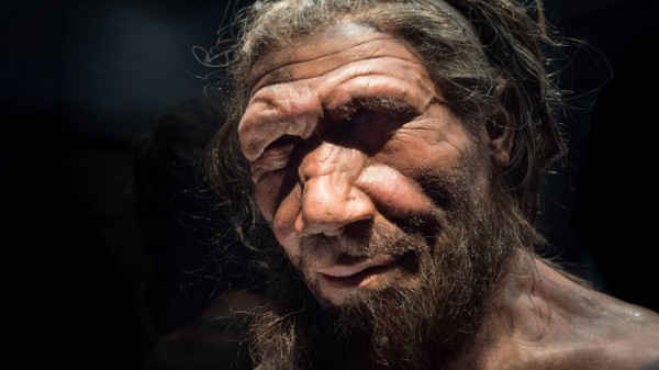 Scienziati britannici scoprono prove genetiche sulla somiglianza fisica tra l'uomo di Neanderthal e quello moderno