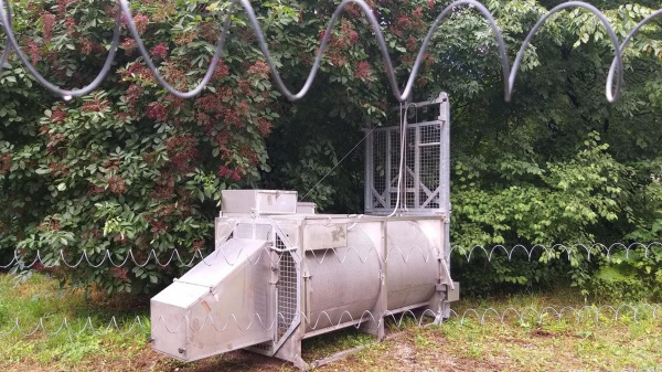 Trentino, l'orsa F43 muore durante le operazioni di cattura in Val di Ledro