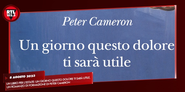Un Giorno Questo Dolore Ti Sarà Utile Peter Cameron Un libro per l'estate: Un giorno questo dolore ti sarà utile, un