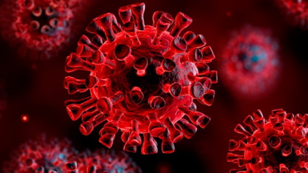 Variante Omicron, situazione preoccupante in Europa per l'Ema, prima vittima negli Stati Uniti