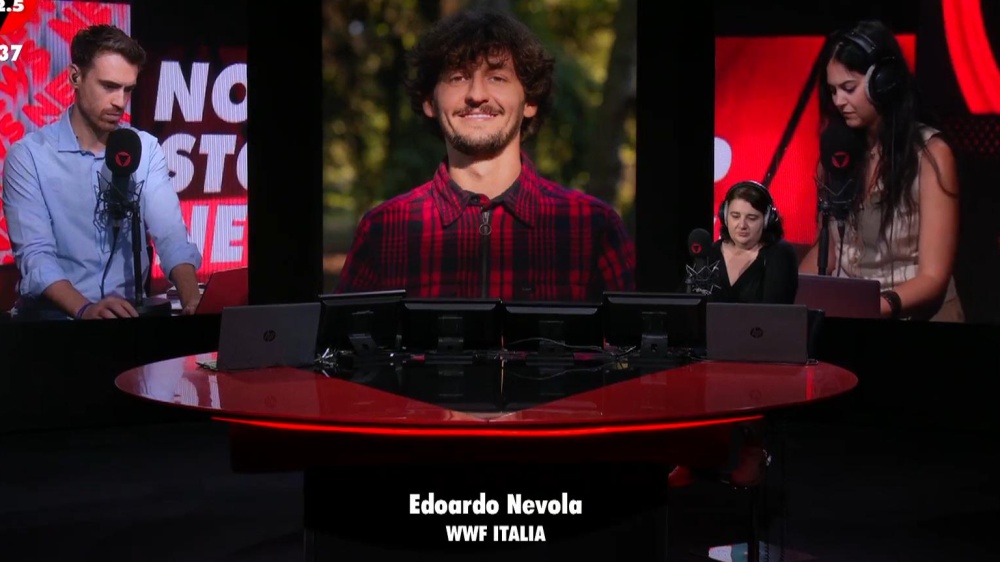 Edoardo Nevola