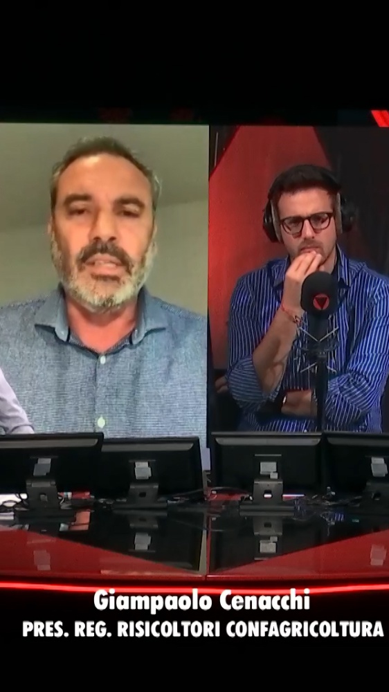 Vai alla pagina Giampaolo Cenacchi Fenicotteri, risaie a rischio