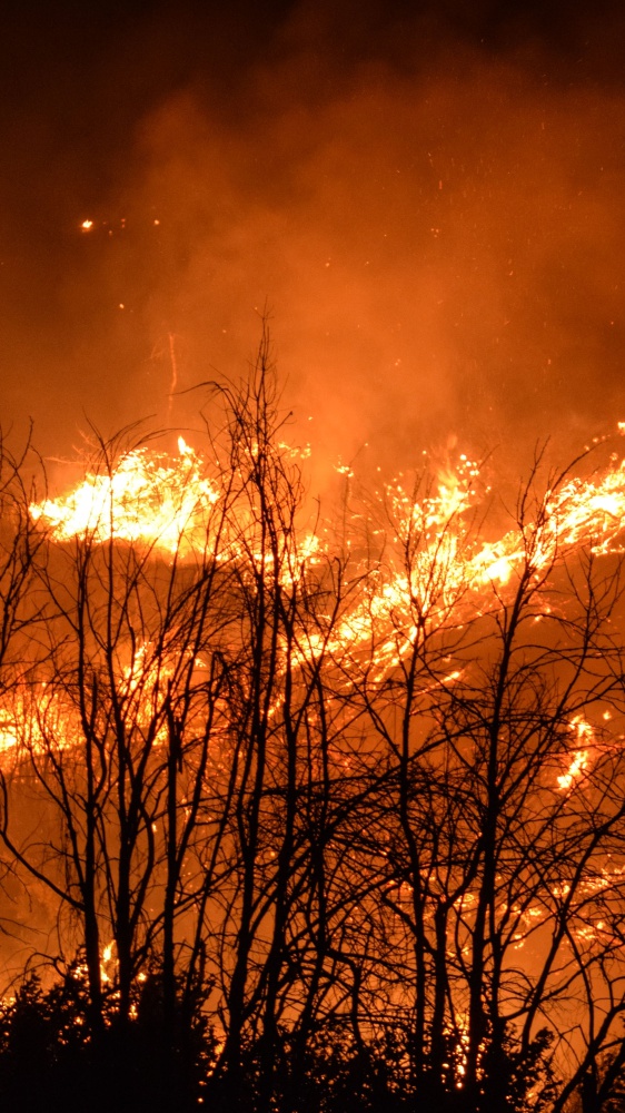 Vai alla pagina Roberto Inghilesi Parliamo di incendi