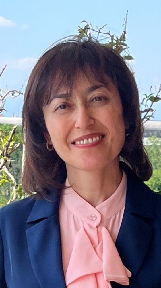 Vai alla pagina Shirin Abbasiasbagh Torniamo sul caso Iran