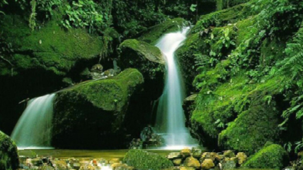 È felice chi è ottimista