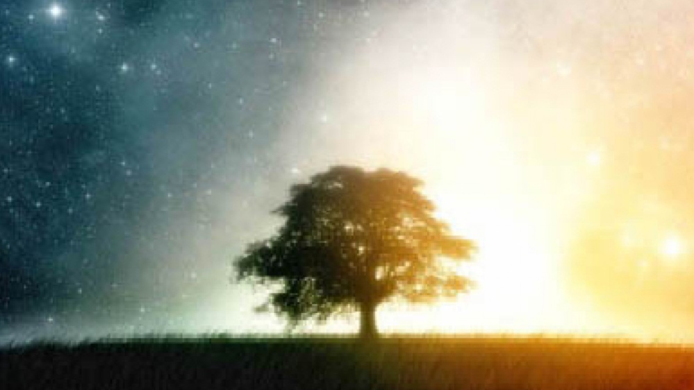 È felice chi accetta i propri limiti