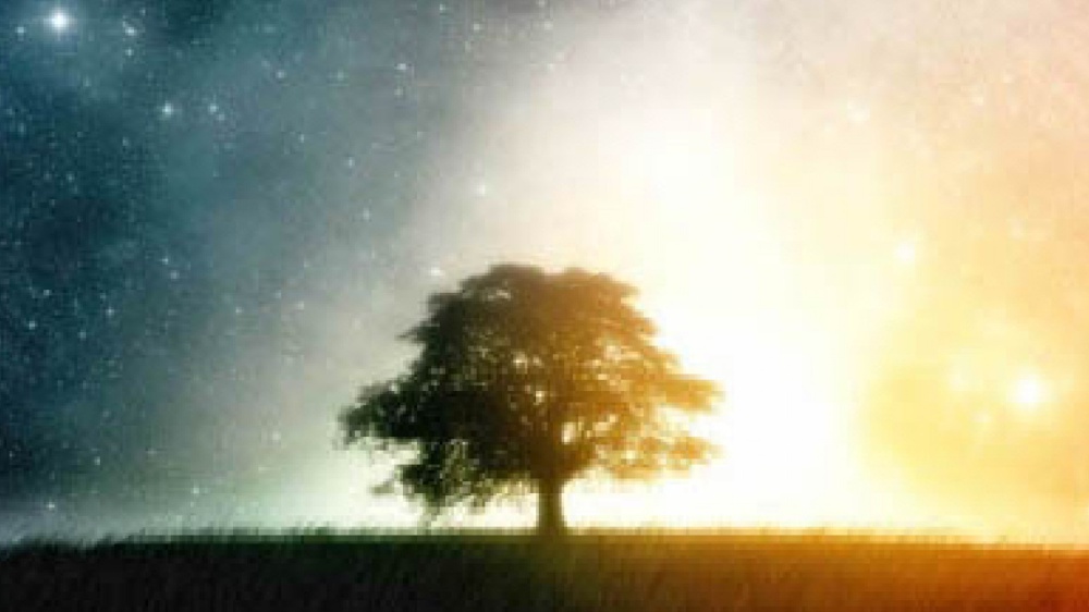 È onesto chi sa confessare i propri errori