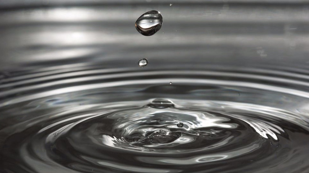 È saggio colui che sa dire dei no al momento giusto