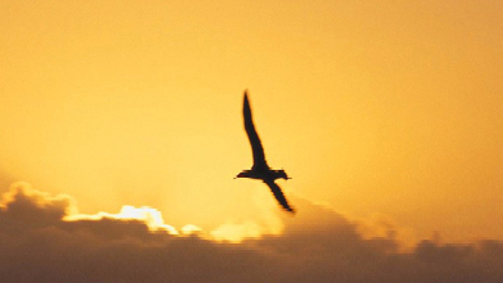 C’è più arte in una foglia che in un grattacielo