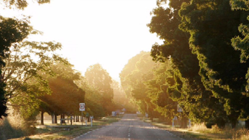 C’è un solo piacere al mondo, quello di essere vivi